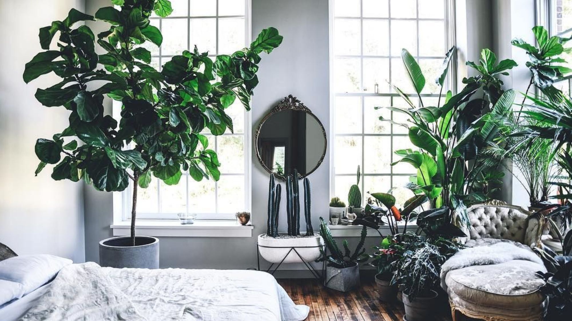 A bedroom organized with Feng Shui principles
