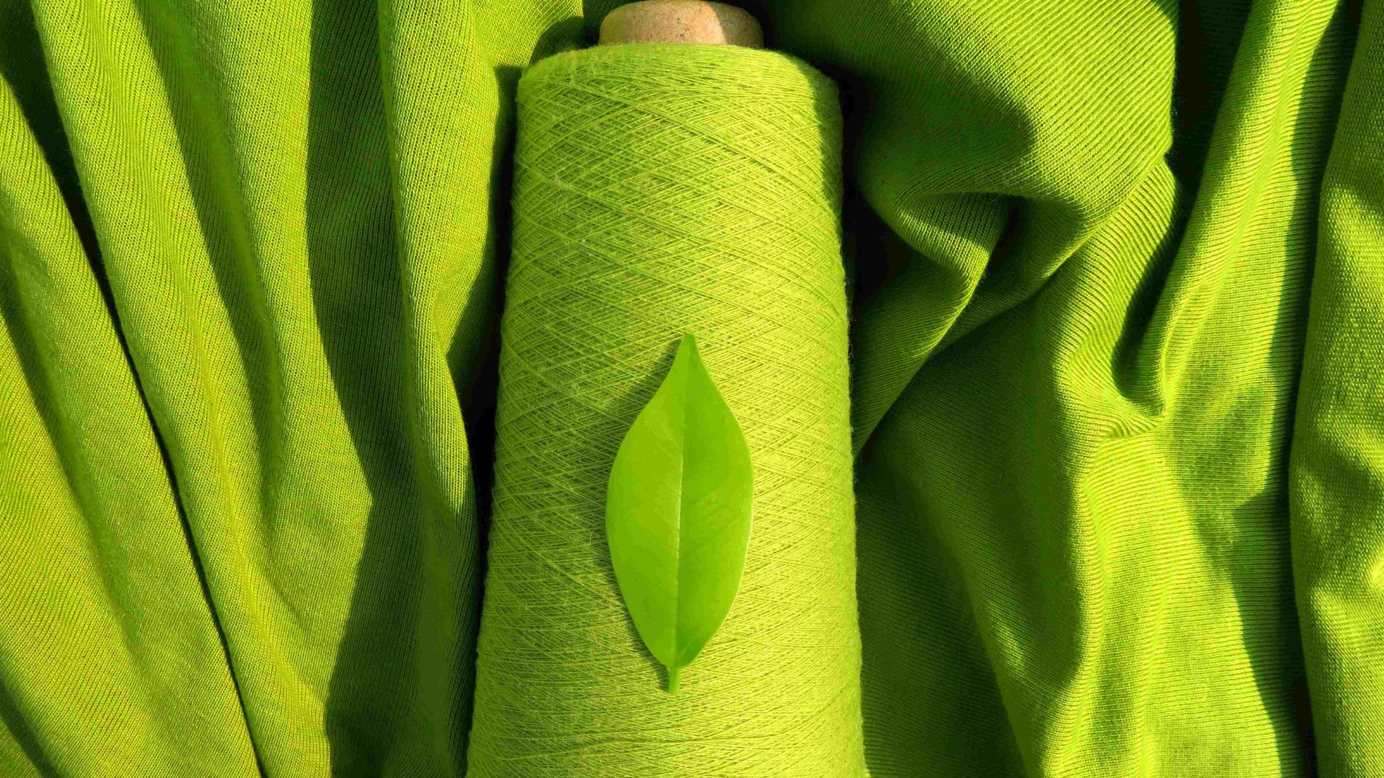 A green thread roll, piece of cloth and a tree leaf showcasing textiles fabric making