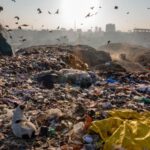 Why Waste Is a Global Issue