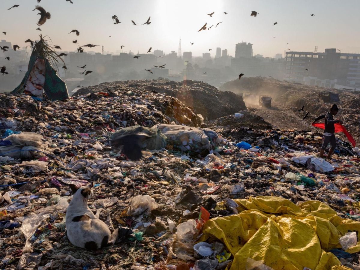 Why Waste Is a Global Issue